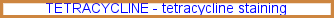 Tetracycline staining